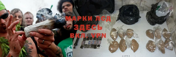 гашик Зерноград