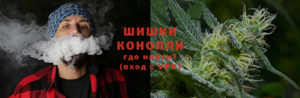 гашик Зерноград