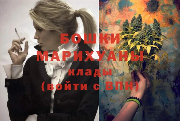 гашик Зерноград