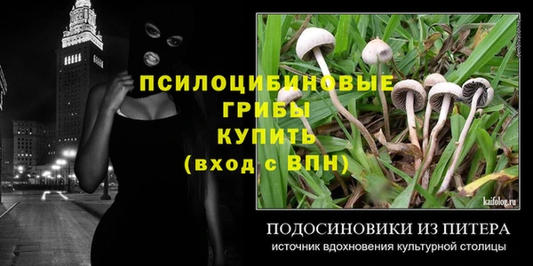молекула духа Новодвинск