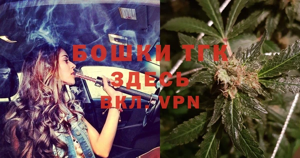 гашик Зерноград